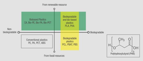 Bioplastics