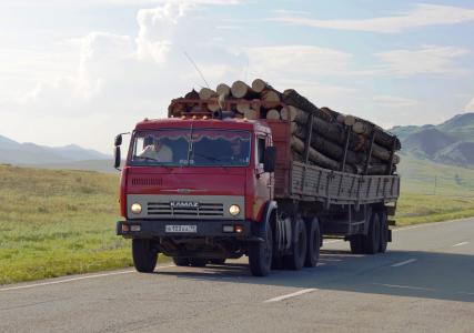 Bedeutsame Holzwirtschaft: Etwa jeder zweite Baum der Erde wächst auf russischem Boden. (Foto: Achim Zielke)