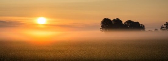 sunrise-2960057_1280-590x215.jpg