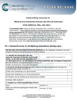 Blackrock shareholding_DE_12.11.pdf