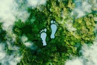 Ein See in Form menschlicher Fußabdrücke inmitten eines üppigen Waldes als Metapher für die Auswirkungen menschlicher Aktivitäten auf die Landschaft und die Natur im Allgemeinen. 3d-Rendering.