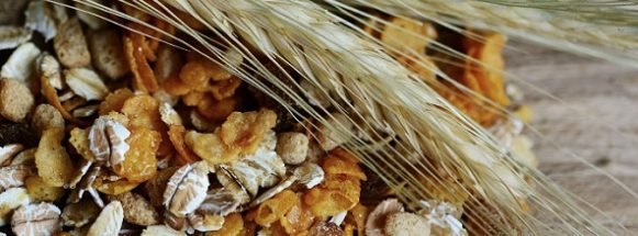 cereals-2437808_1280-581x215.jpg