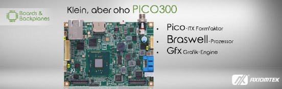pico300_banner_gr.jpg