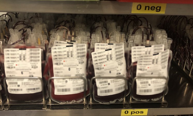 Erythrozyten Blutprodukt im RFID Kühlschrank.png