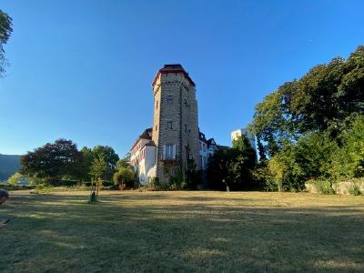Der Garten des Martinsschlosses ist die Kulisse von Lahneck light / Foto: Markus Graf