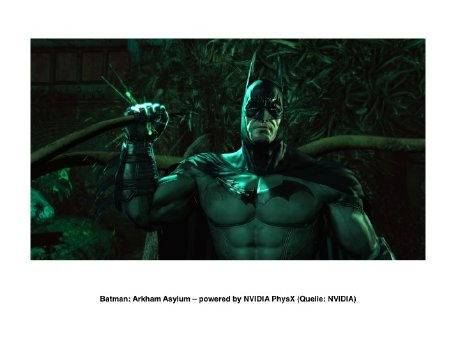 Batman NVIDIA PhysX .jpg
