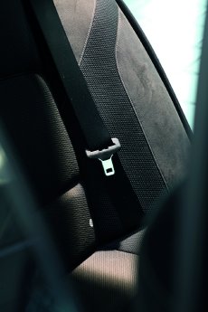 Fig_1_IDY_safety_belt_seatbelt.jpg