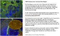 FISH-Analyse einer humanen Herzklappe