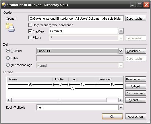 DirectoryOpus95-Drucken.png