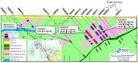 Figure 3: Diamba Sud Gold Project: Southern Arc Prospect, cross section 450NE