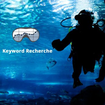 SEO-Diver-Keyword-Recherche- 1080x1080 Pixel.jpg