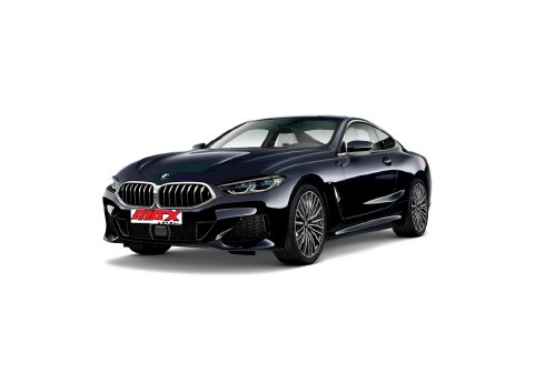 BMW-8-Serie-Modell-2019-MaxSensor.png