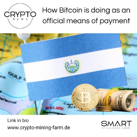 EN How Bitcoin is doing as an official means of payment.png