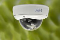 Neue Low-Light-CONVISION-Kameras farbstark bei Tag und Nacht bei PCS