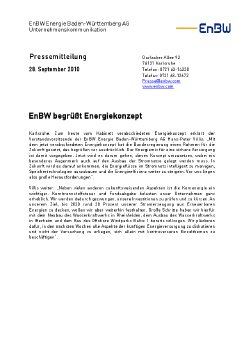 20100928_Energiekonzept.pdf