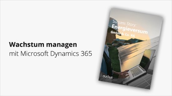 2024-09-energieversum-dynamics365-audius.jpg