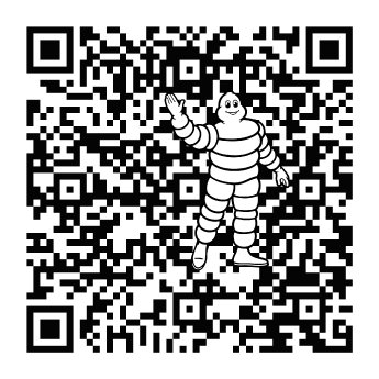 cl5i8dy5a001201kacz7goa8s-michelin-mytechxpert-app-qr-code-googleplaystore[1].jpg