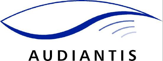 audiantis_logo.jpg