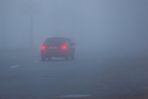 TÜV Rheinland_Pressefoto_Herbstnebel.jpg