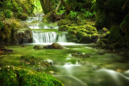 Green IT – Photography by Max Conrad