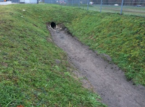 Muldenzulauf.jpg