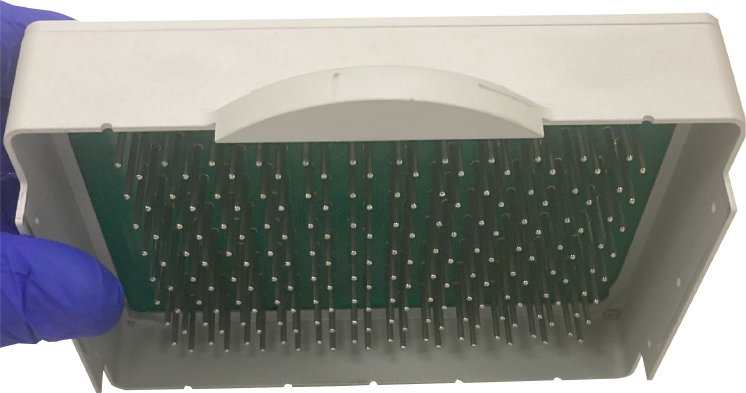 TEERZ Cassette Top Pins RB.jpg