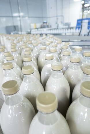 Milk products.jpg