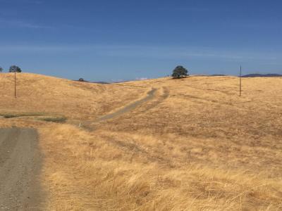 Power Line; Quelle: Blue Moon Metals