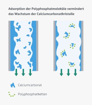 Illustrationen_Fachbeitrag_Steinbildung_Adsorption_Polyphosphatketten_Calciumcarbonatkristalle.jpg