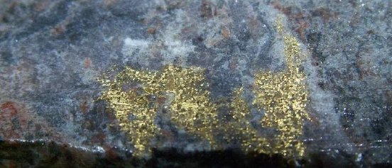 Maple Gold Mines Bohrkern mit Gold.jpg