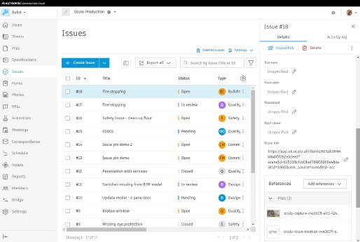Issue Autodesk Construction Cloud_2.png