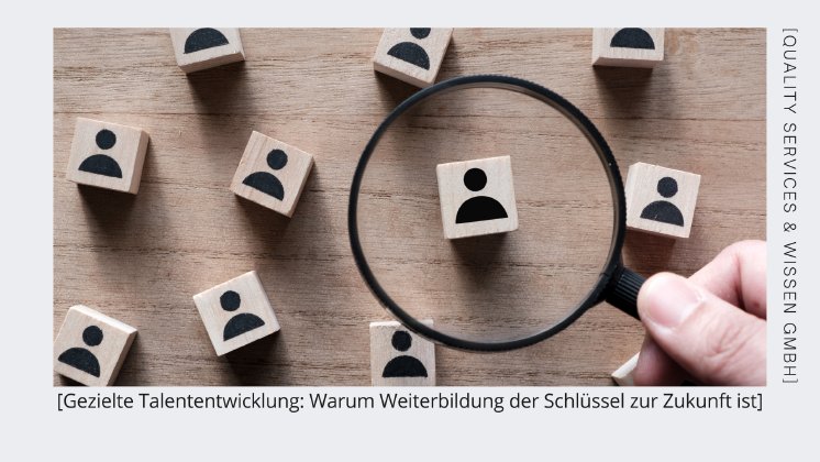 Effektivitaet-eines-Qualitaetsmanagement-Systems-Der-Mensch-im-Mittelpunkt-3.png