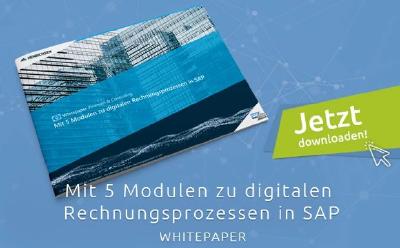 HENRICHSEN AG erklärt, wie man mit fünf Modulen digitale Rechnungsprozesse in SAP aufsetzt / Abb: HAG