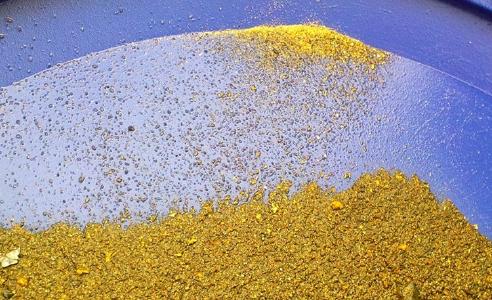 Freies Gold von Rajapalot / Foto: Mawson Resources