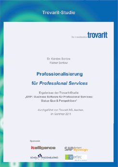 erp-prof-services.jpg