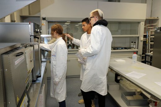 1352 - 3 Trocknung.jpg