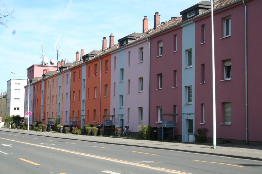 Foto4.JPG