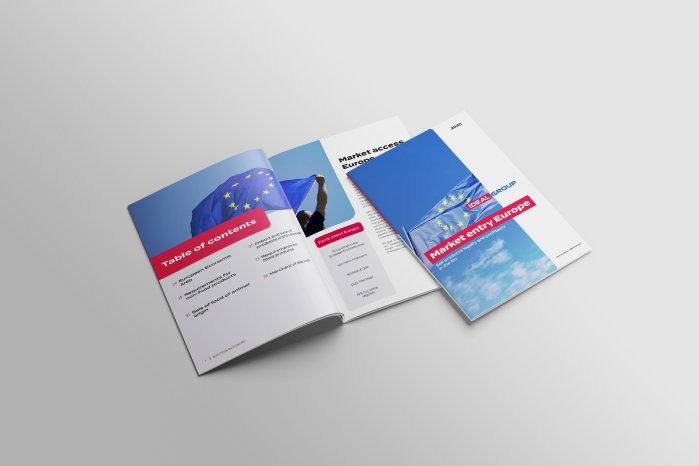 DIN A4 Brochure Market entry Europe Guide - IDEAL GROUP Mock Up.png