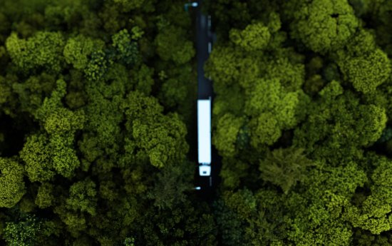 LKW_Wald_Topview 1.jpg