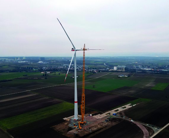 DJI_0979_300px.jpg