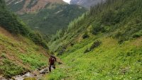 Camp-Creek-Ziel auf dem zu 100 Prozent kontrollierten Thorn-Projekt im Nordwesten von British Columbia;