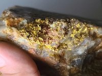 Goldmineralisierung Suriname