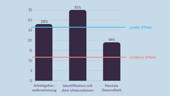 Grafische Abbildung messbarer Wirkungen.png
