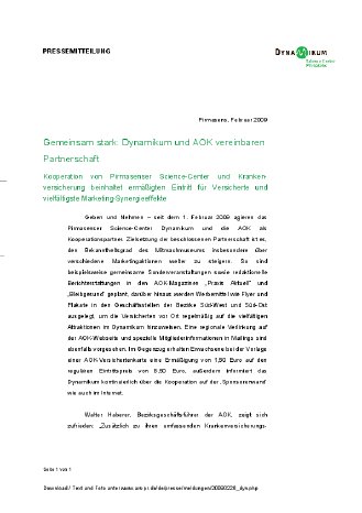20090226_dyn.pdf