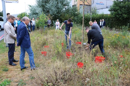 1318 - 2 Baumpflanzaktion.jpg