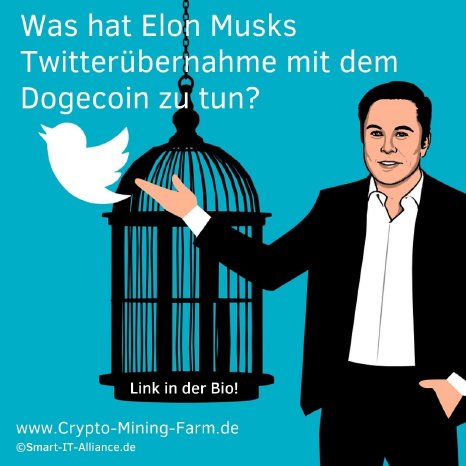 Twitter Übernahme durch Elon Musk - Dogecoin Preis.jpg