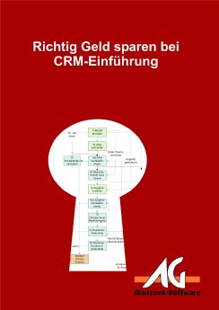 Richtig Geld sparen bei der CRM-Einführung - Deckblatt.jpg