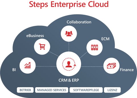 Bild 1_Steps Enterprise Cloud_Quelle Step Ahead AG.jpg