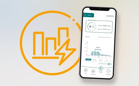 Dynamischer Tarif.jpg