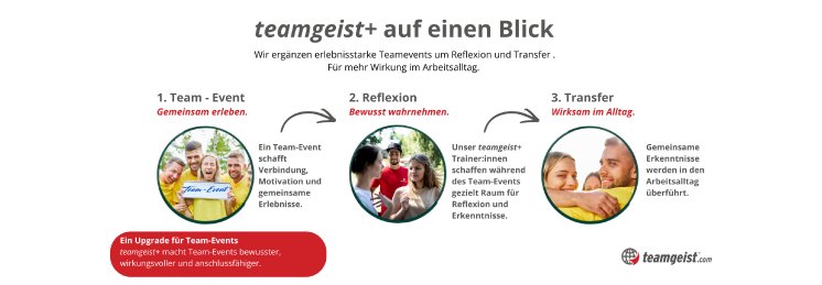 1440x650 Schaubild teamgeist+.png